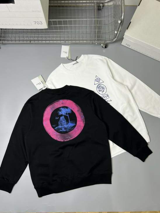 Picture of Dior Sweatshirt _SKUDiorS-XLxetr5831858